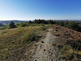 Mittelbergweg, © Retzer Land