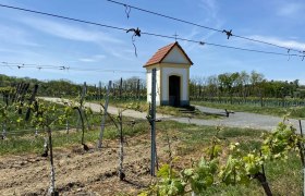 Die Weinbergkapelle liegt - wie ihr Name schon verrät - inmitten von Weingärten, © Weinstraße Weinviertel