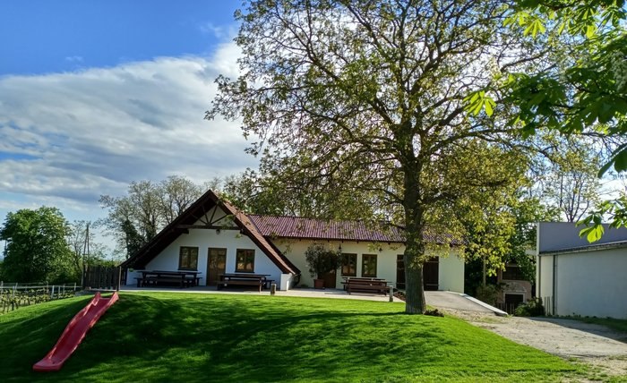 Gemütliche Heurigenterrasse am Weingut Puhr, © Viktoria Puhr