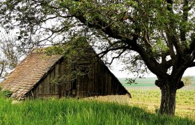 Ruhiges Platzerl am Rand von Röschitz, © Weinstraße Weinviertel