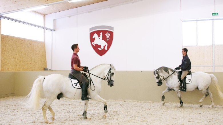 Lipizzaner in der Reithalle, © Gemeinde Heldenberg