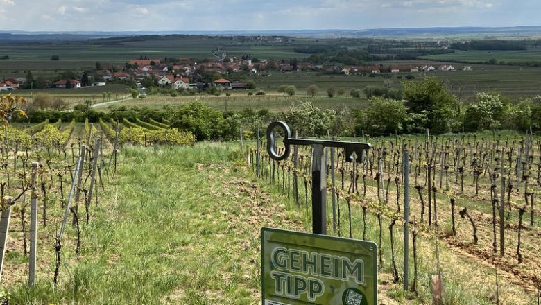 Traumhafter Ausblick, © Weinstraße Weinviertel