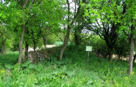 Hiatahütte in Pfaffstetten, © Marktgemeinde Ravelsbach