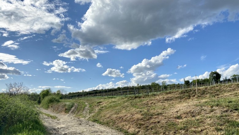 Typischer "Hinaus"-Weg im Weinviertel, © Weinstraße Weinviertel