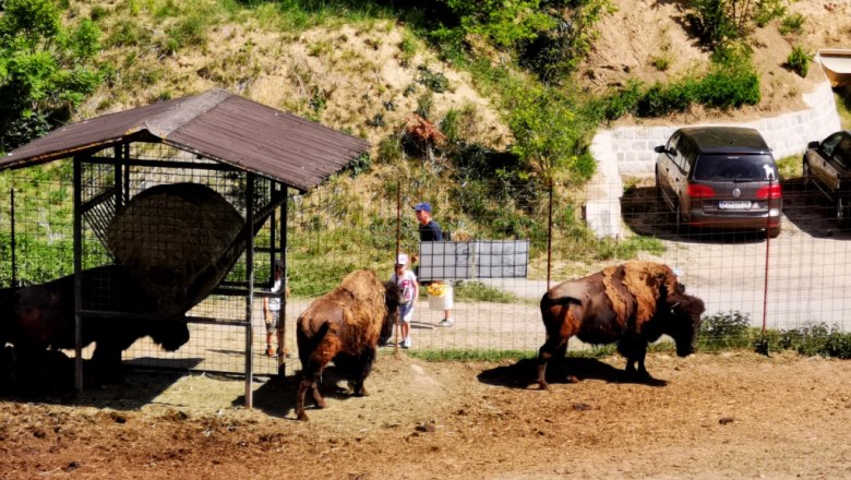 Ein Ausflug zu seltenen Tieren, © Weinstraße Weinviertel