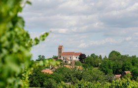 Wehrkirche Hohenwarth, © Donner|Weinstraße Weinviertel West