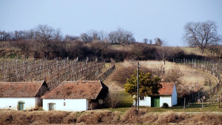 Keller säumen den schönen Spazierweg, © Peter Stadler