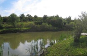 Feuchtbiotop Nappersdorf, © Marktgemeinde Nappersdorf-Kammersdorf