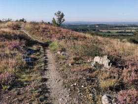 Mittelbergweg, © Retzer Land