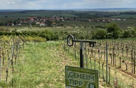 Traumhafter Ausblick, © Weinstraße Weinviertel