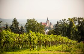 Blick auf Pulkau, © Astrid Bartl