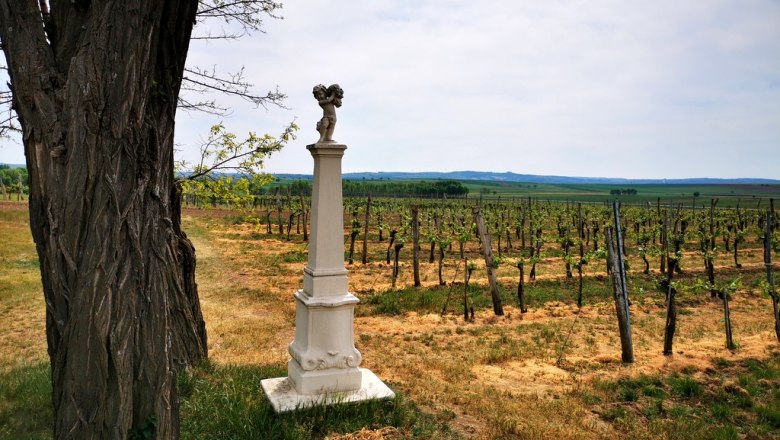 Hahnberg bei Klein Reinprechtsdorf, © Weinstraße Weinviertel