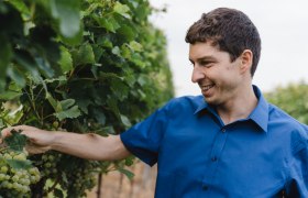 wein.gut.schauen im Weinhof Brandl