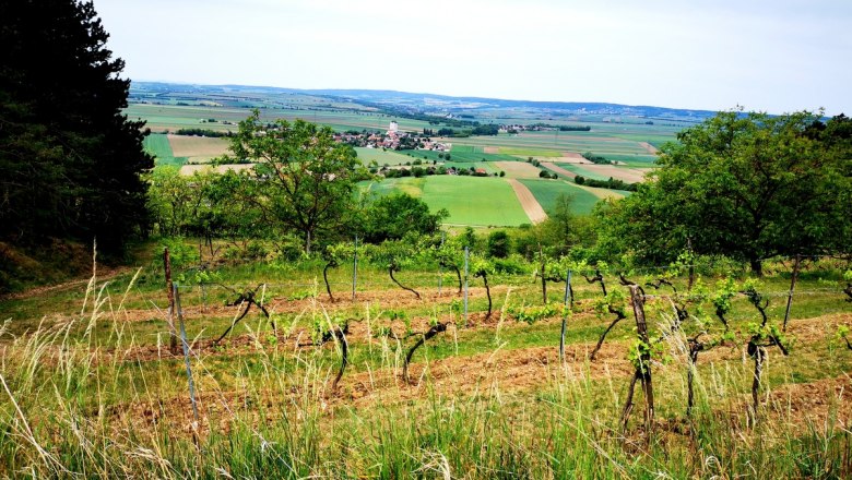 Der traumhafte Ausblick lohnt sich, © Weinstraße Weinviertel