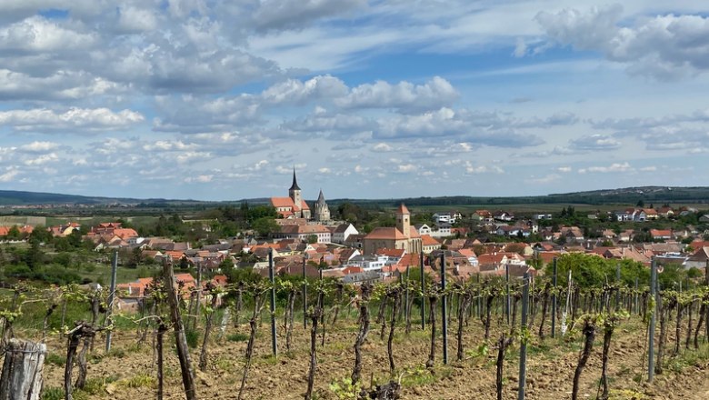 Traumhafter Ausblick von der Wehrleiten Pulkau, © Weinstraße Weinviertel