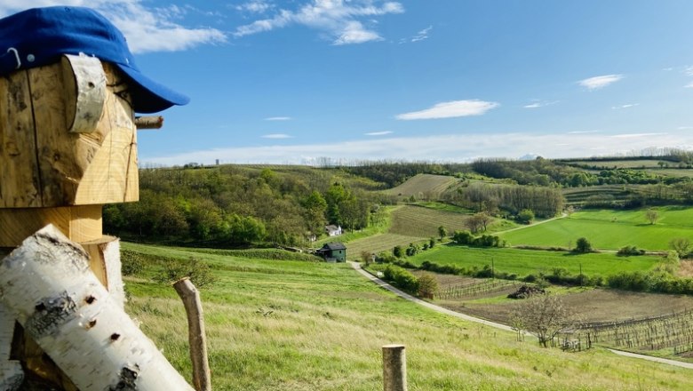 Der Holzmann überwacht die Klumpagruam, © Weinstraße Weinviertel