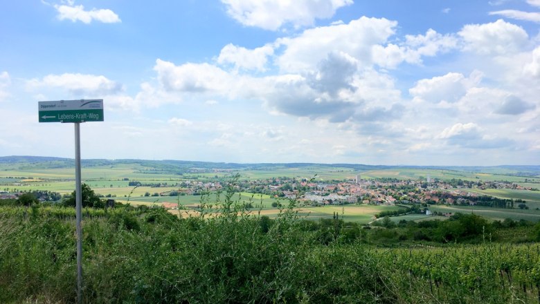 Traumhafter Rundblick am Köhlberg, © Marktgemeinde Ziersdorf