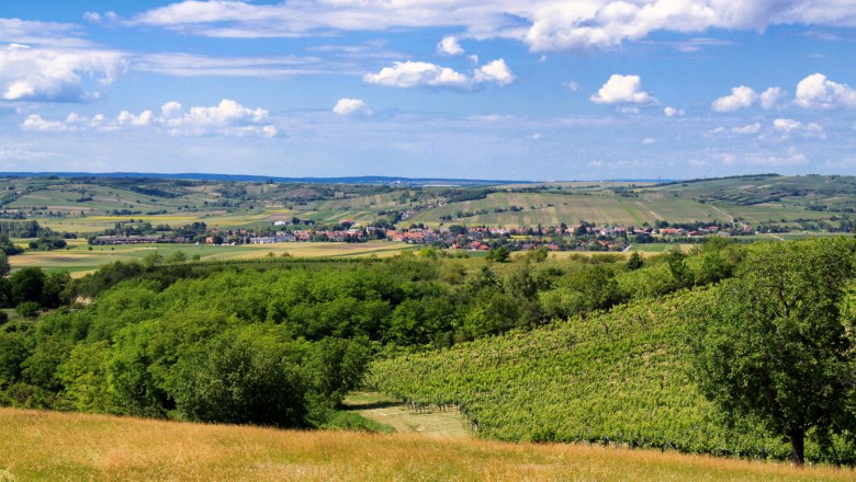 Weinberge, © Gemeinde Alberndorf