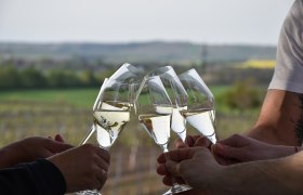 wein.gut.schauen im Weingut Reisinger