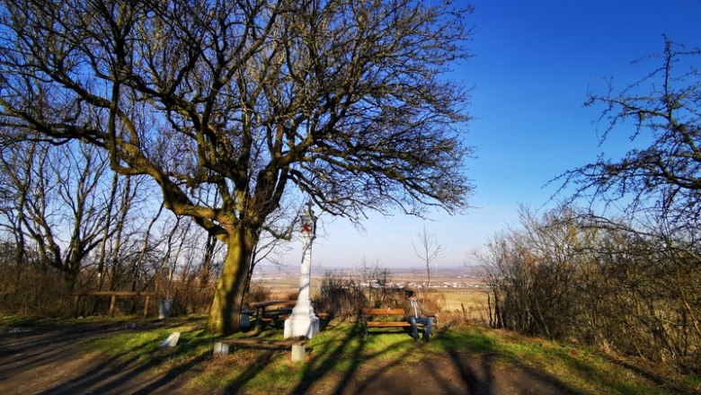 Heidbirnbaum: Zu Jeder Jahreszeit einen Spaziergang Wert, © Weinstraße Weinviertel