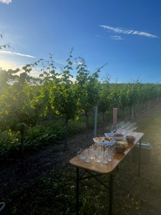 Weinverkostung direkt in den Rieden - Weingut Reinhard Hirsch, © Wein:Hirsch