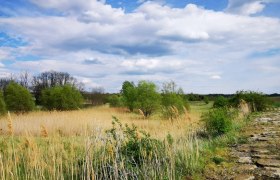 Naturerlebnis Rückhaltebecken, © Weinstraße Weinviertel