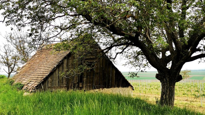 Ruhiges Platzerl am Rand von Röschitz, © Weinstraße Weinviertel