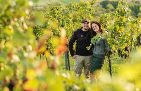 wein.gut.schauen im Weingut Georg Toifl, © M. Reidinger