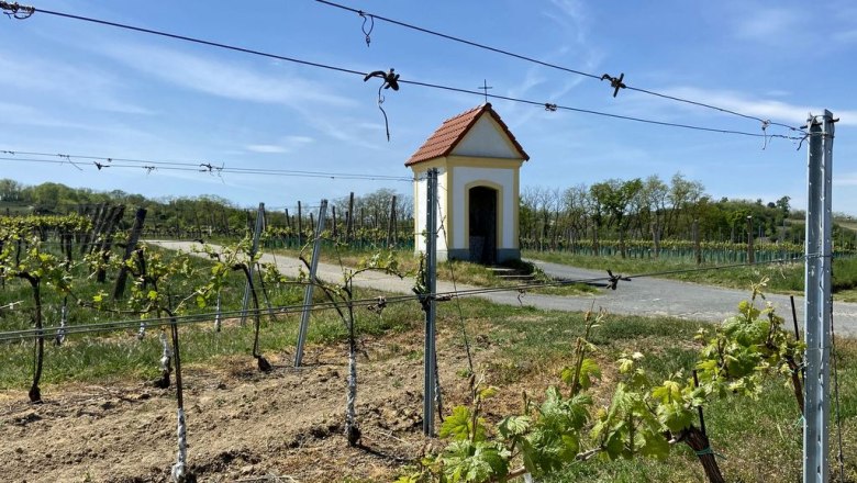 Die Weinbergkapelle liegt - wie ihr Name schon verrät - inmitten von Weingärten, © Weinstraße Weinviertel