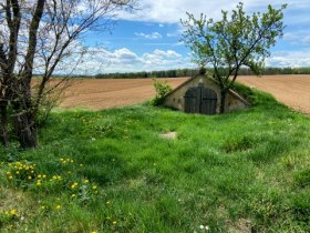 Picknickplatzerl bei Obermixnitz, © Weinstraße Weinviertel West