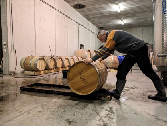 Gerald Milanovich-Hörmann bei der Kellerarbeit, © Bio Weingut Hörmann