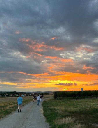 Sonnenuntergang im Retzer Land - Wein:Hirsch, © Wein:Hirsch