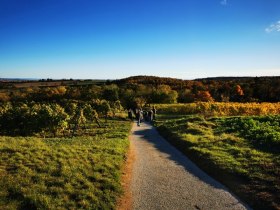 Abendstimmung bei Straning, © Weinstraße Weinviertel West